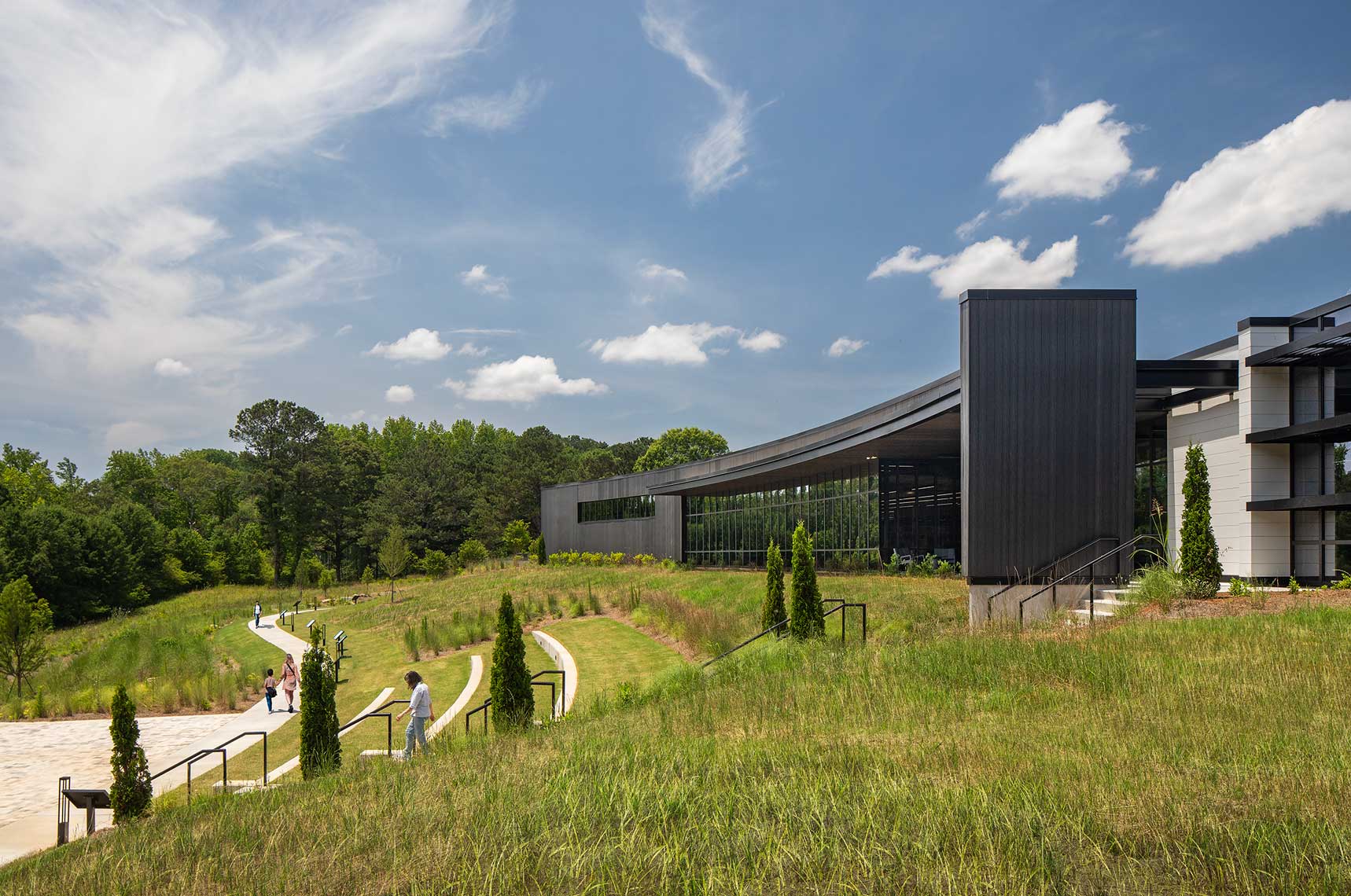 A daytime image of the wild grasses and amphitheater on the southern exposure of the Denmark Branch Library