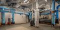 4427---Plant-Interior